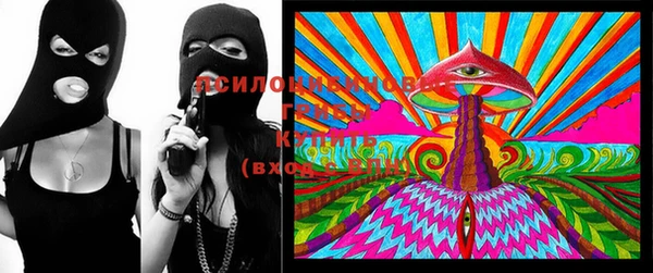 эйфоретик Новозыбков