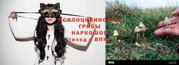 СК Белая Холуница