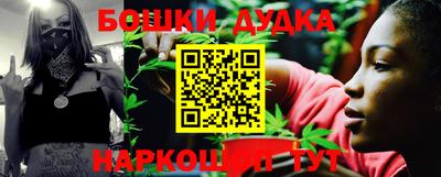 гидра Тавда