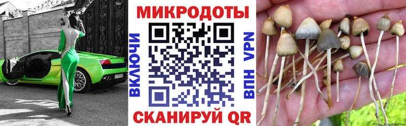 Галлюциногенные грибы ЛСД гидра ссылки сайты даркнета Telegram купить закладку Волгоград