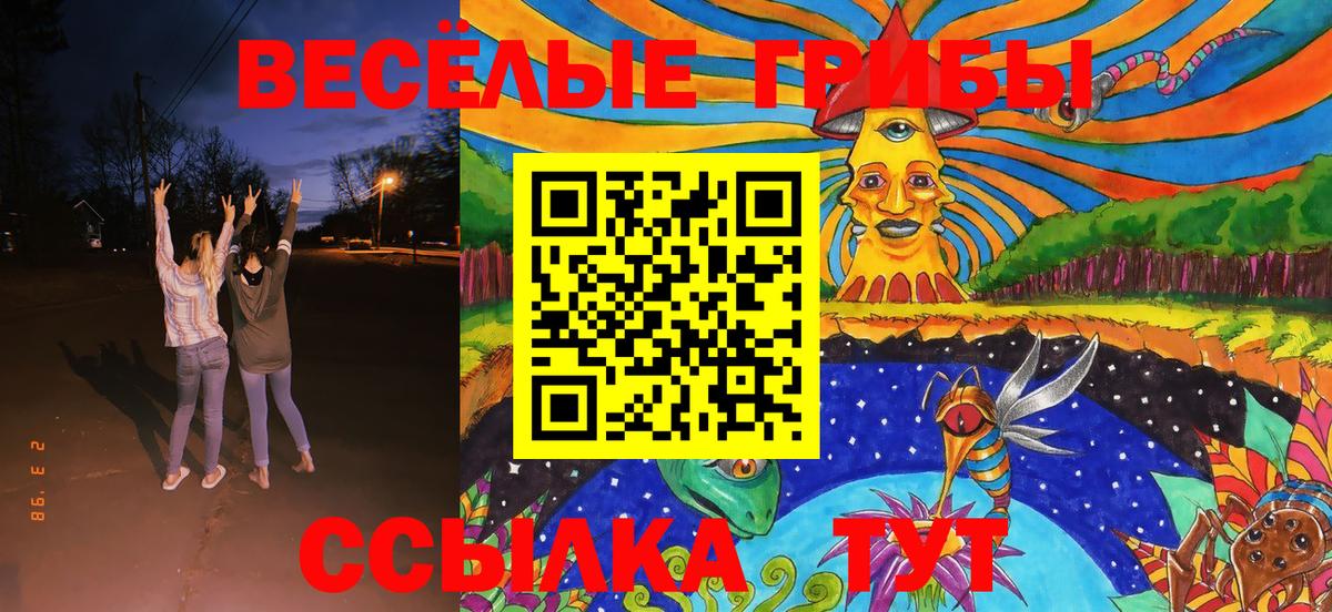 Галлюциногенные грибы Psilocybine cubensis  Галлюциногенные грибы ЛСД  Волгоград 