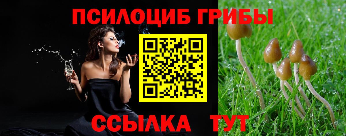 Галлюциногенные грибы Psilocybine cubensis Волгоград