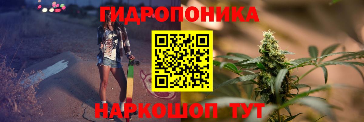 Каннабис Bruce Banner  Волгоград  Каннабис конопля 
